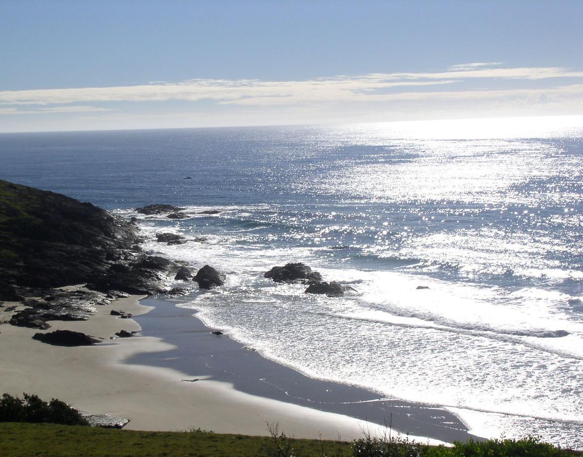 Oceanscape Luxury Beachfront Villas Scotts Head Eksteriør billede